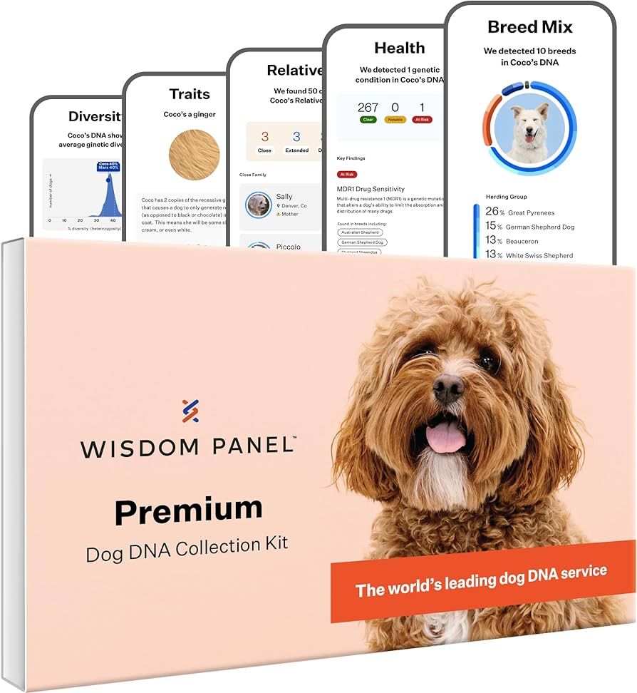 Wisdom Panel Premium Dog DNA Kit: Most Comprehensive with 265+ Health Tests, Identify 365+ Dog Br... | Amazon (US)