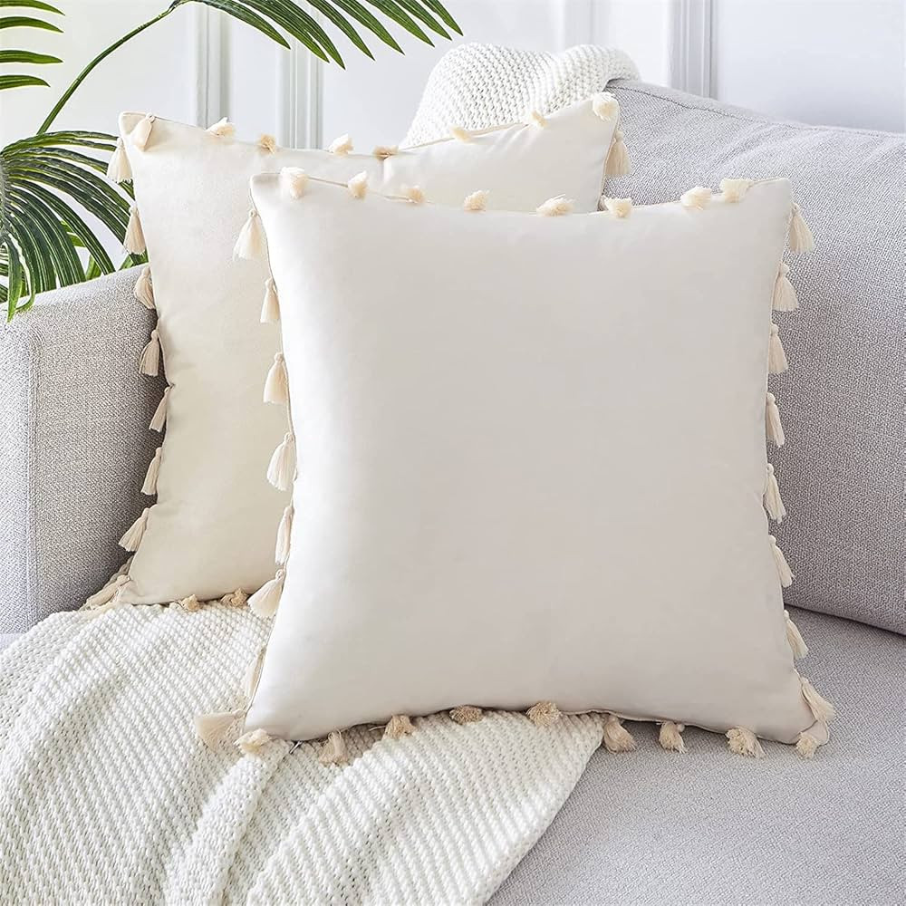 Topfinel Boho Decorative Throw Pillow Covers with Tassel for Couch Bed Sofa Soft Velvet Accent Cu... | Amazon (US)