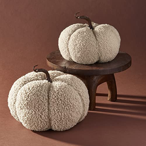 LampLust Plush Pumpkin Decor, Pack of 2, Sand Faux Pumpkins for Thanksgiving Table Centerpiece, Rustic Farmhouse Decor, Fall Halloween Decorations | Amazon (US)