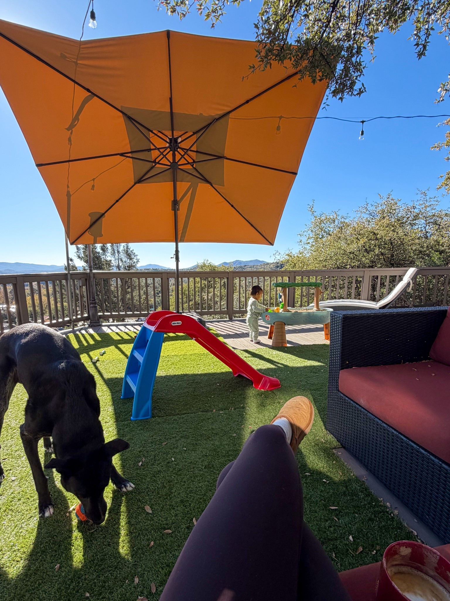 Winter toddler outdoor toys and covers. Cyber Monday sales

#LTKSaleAlert #LTKKids #LTKGiftGuide