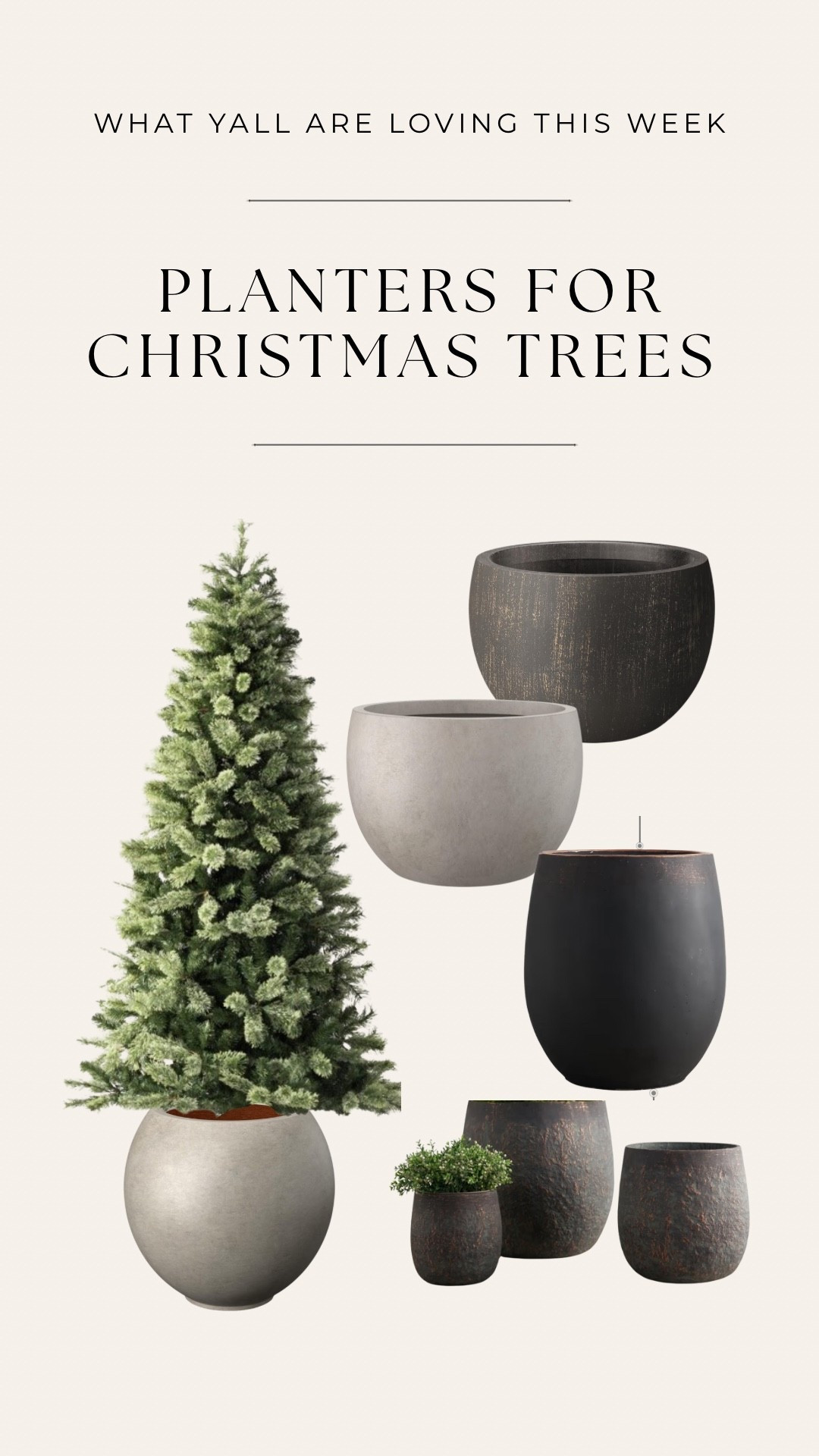 Christmas trees and planters 101:

1.  A good rule of thumb is to have the bottom branches of whatever tree you’re placing in a planter, to be several inches over the edge. For smaller trees you shouldn’t have an issue just stuffing it full of old blankets or sheets and making a little hole in the middle to fit the tree-pole inside. 
2. For larger trees get a planter that has a wider diameter (definitely over 20 inches) 
3. I’ve seen some people physically fit the tree stand in a wider-diameter planter but keep in mind that in order to do that, you would need to make sure the tree STAND width can fit inside the width of the planter.

Ok I’ve well surpassed the amount of times I should ever say the word planter in a day.
🎄😂


•
•
Christmas tree decor, tree toppers, holiday decor, tree stands, ceramic planters, Ralph Lauren Christmas, cozy home, slim pencil tree, chic Christmas trees, burgundy ornaments 

#LTKHome #LTKHoliday