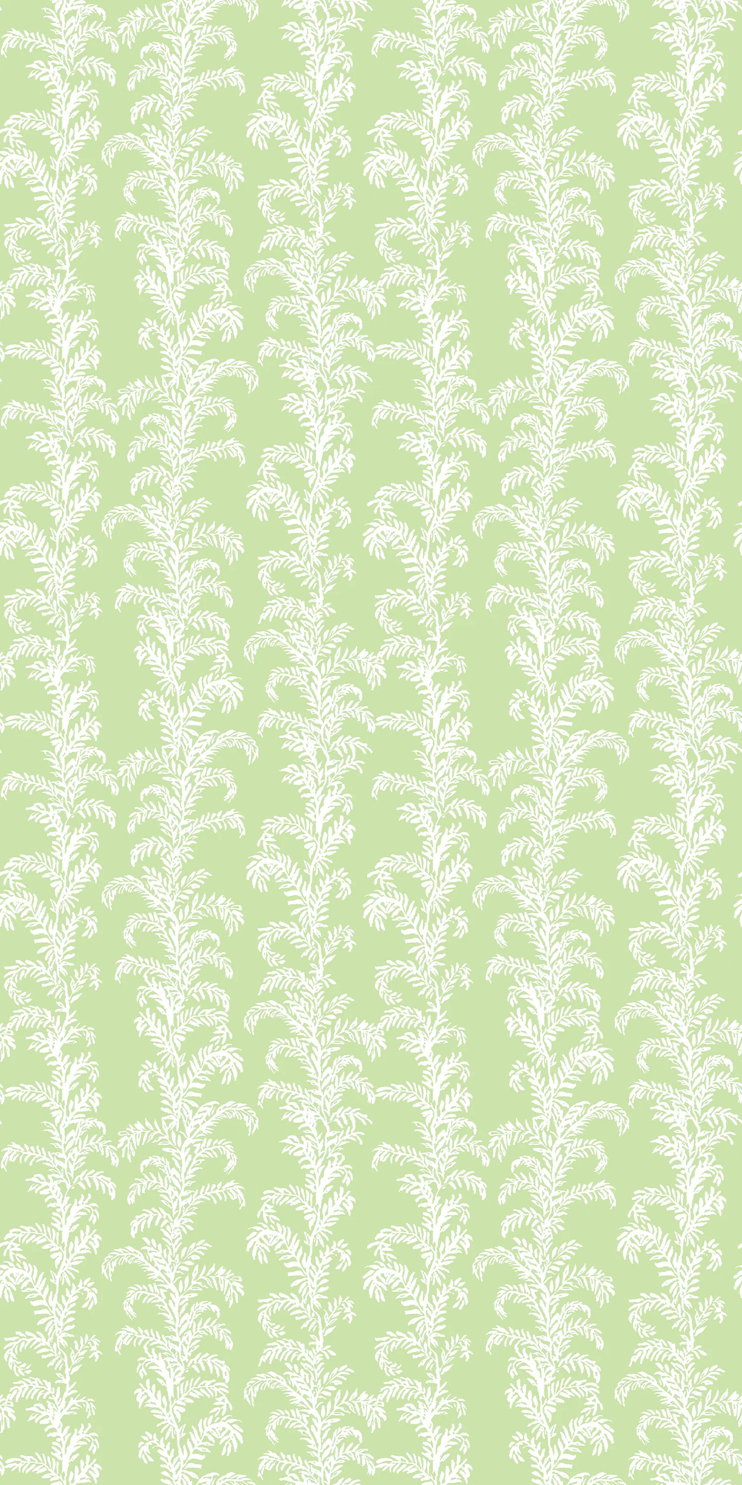 Palm Beach | Chasing Paper