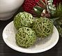 OPEN BOX: Faux Moss Coated Curly Willow Spheres - Set of 3 | Pottery Barn (US)