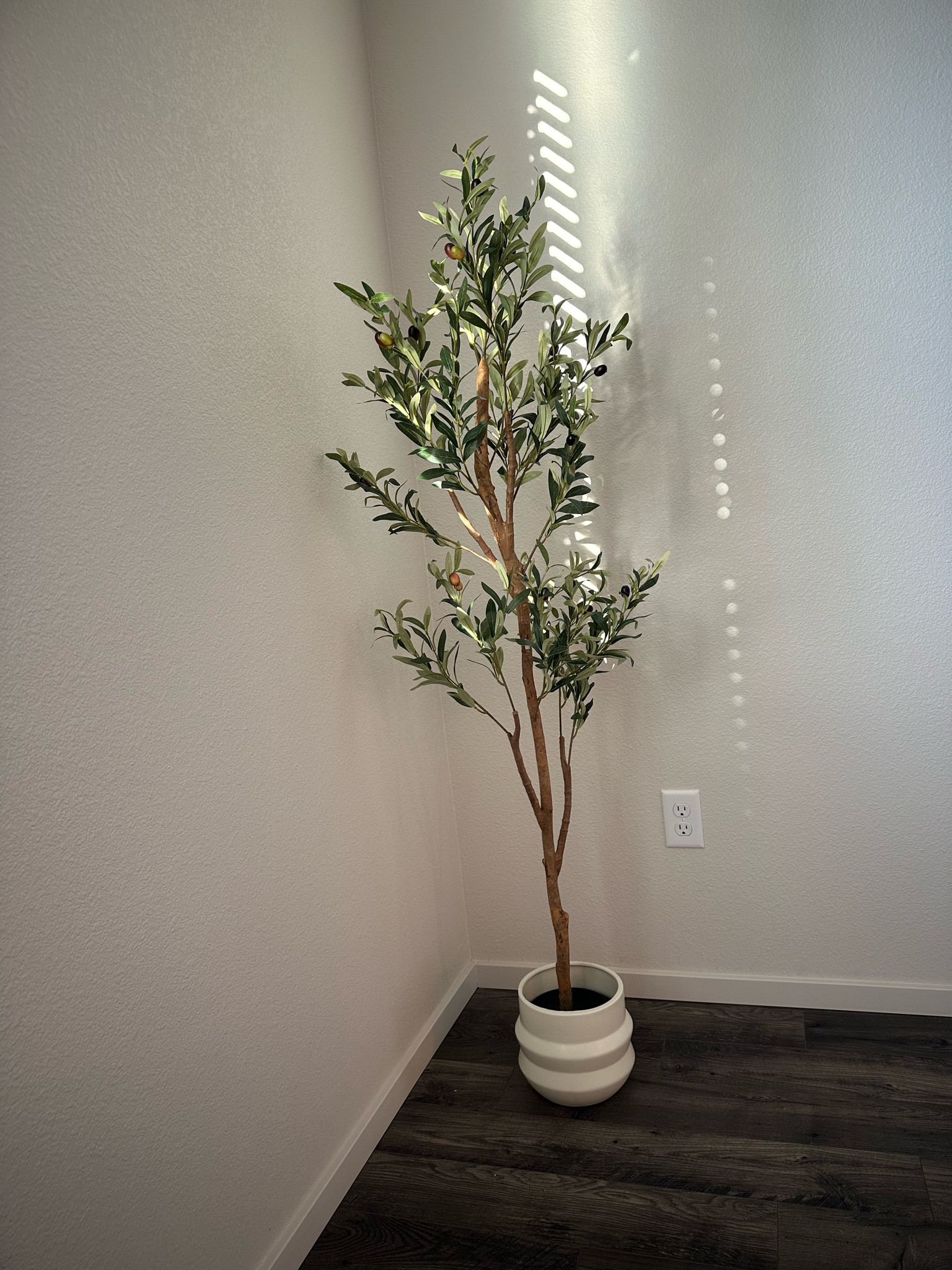 The most affordable 2 pack #olivetree #walmartfinds #homedecor #earthydecor #neutraldecor

#LTKSaleAlert