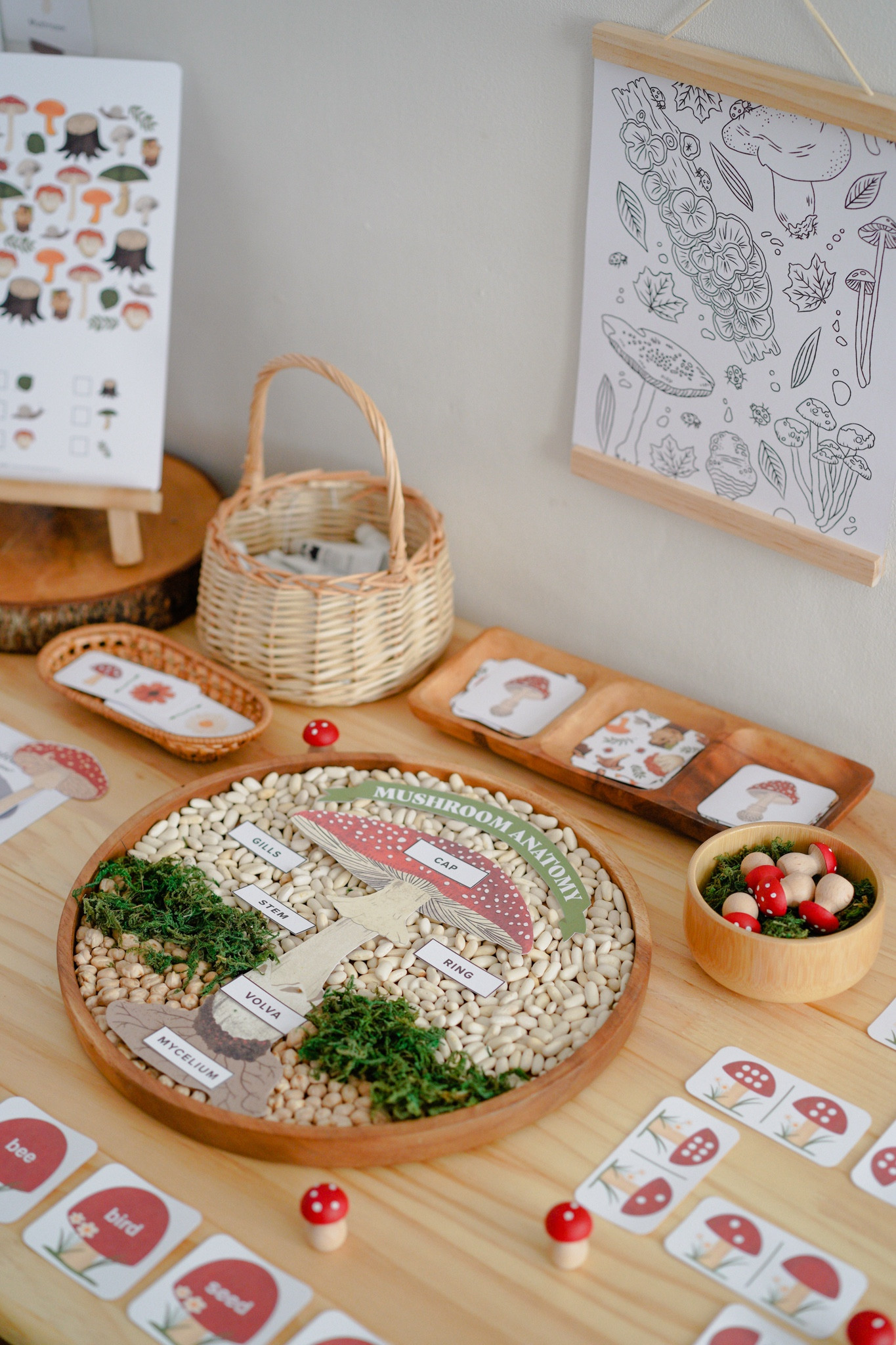 Who doesn’t love mushrooms?! 🍄🍄‍🟫
Especially in the fall! Our Mushroom Activity Pack is jam packed with fun activities for the season!

#fallactivities #mushrooms #studyunit #printables #digitalfiles #homeschool #activitiesforkids #kidsactivoties #educationalresources #homeschoolroom 

#LTKFallSale #LTKKids #LTKSeasonal