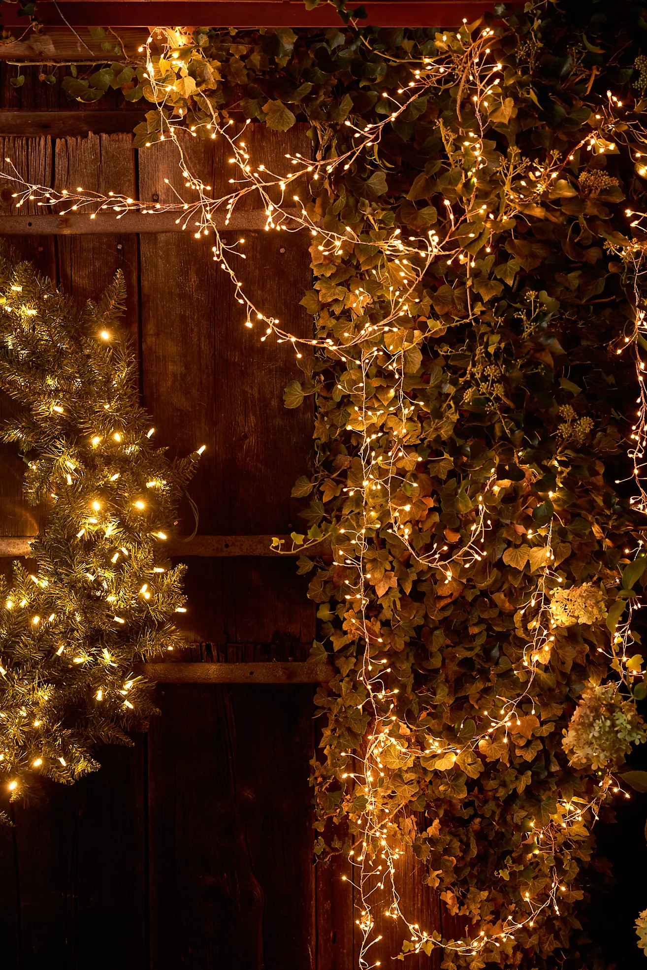 Stargazer Twinkling Tendril Vine Lights | Anthropologie (US)