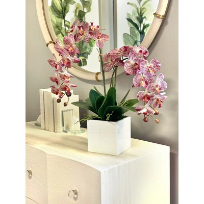 Orchid Arrangement in Square Fiberstone Pot | Wayfair North America