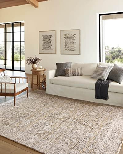 Amber Lewis x Loloi Alie Collection ALE-05 Gold / Beige, Traditional 2'-3" x 3'-10" Accent Rug | Amazon (US)