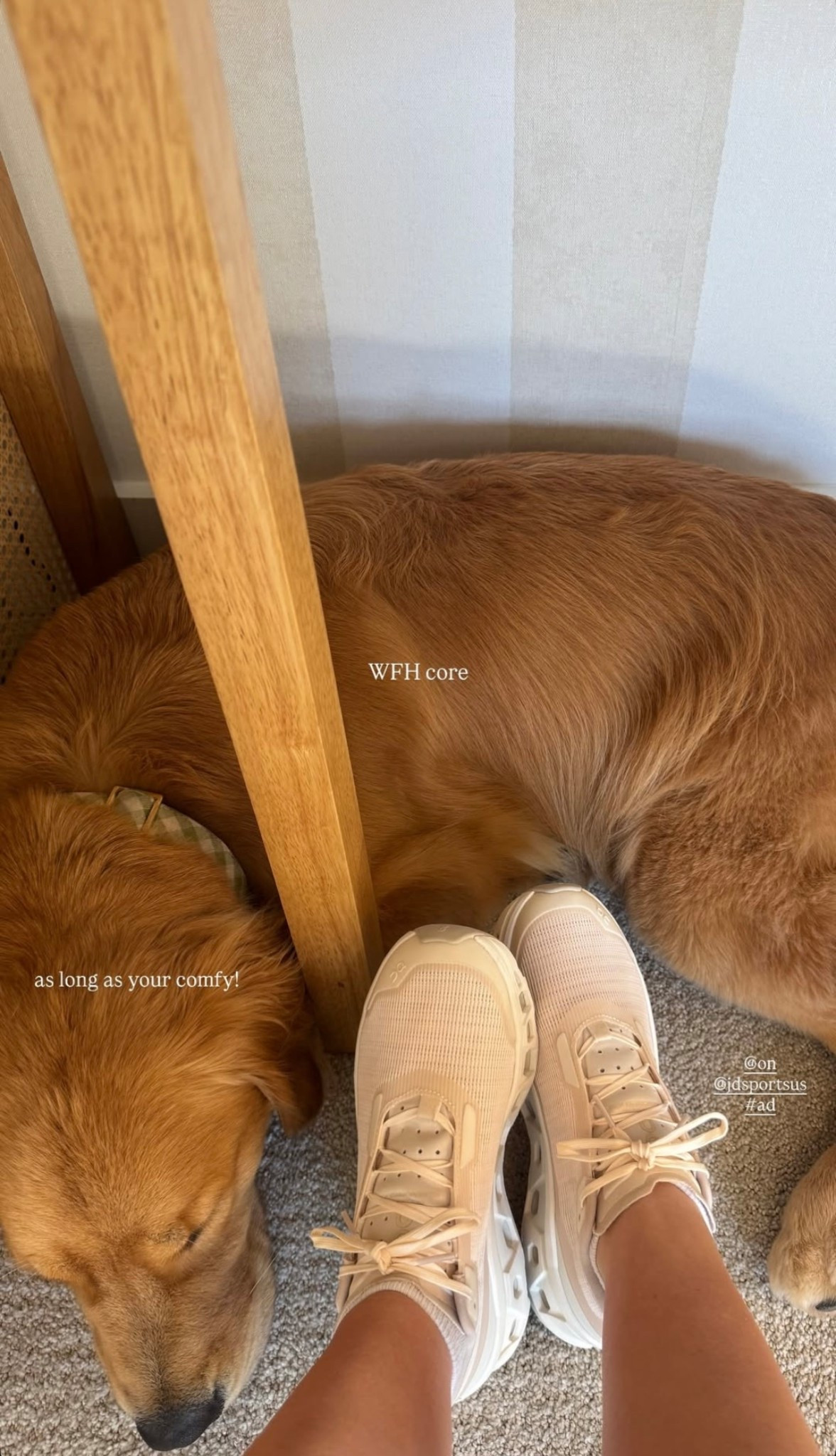 new fav shoes!! @JDSportsUS @On #ad 

#LTKShoeCrush #LTKActive #LTKSeasonal

#LTKSeasonal #LTKShoeCrush #LTKActive