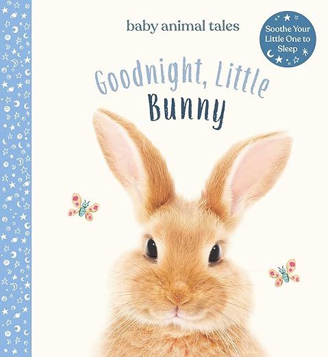 Goodnight, Little Bunny: A Board Book (Baby Animal Tales) | Amazon (US)