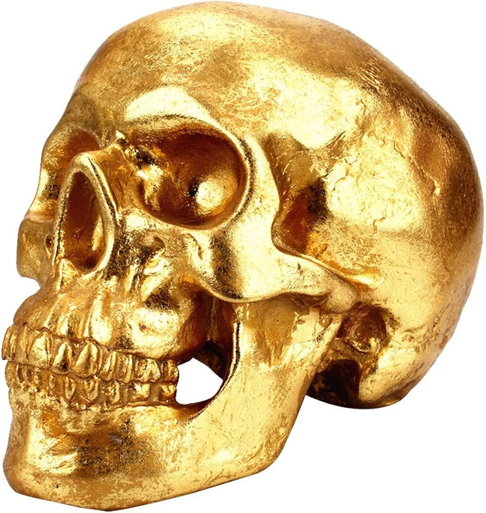VOSAREA Gold Skull Coin Bank Skull Money Box Piggy Bank Home Decoration | Amazon (US)