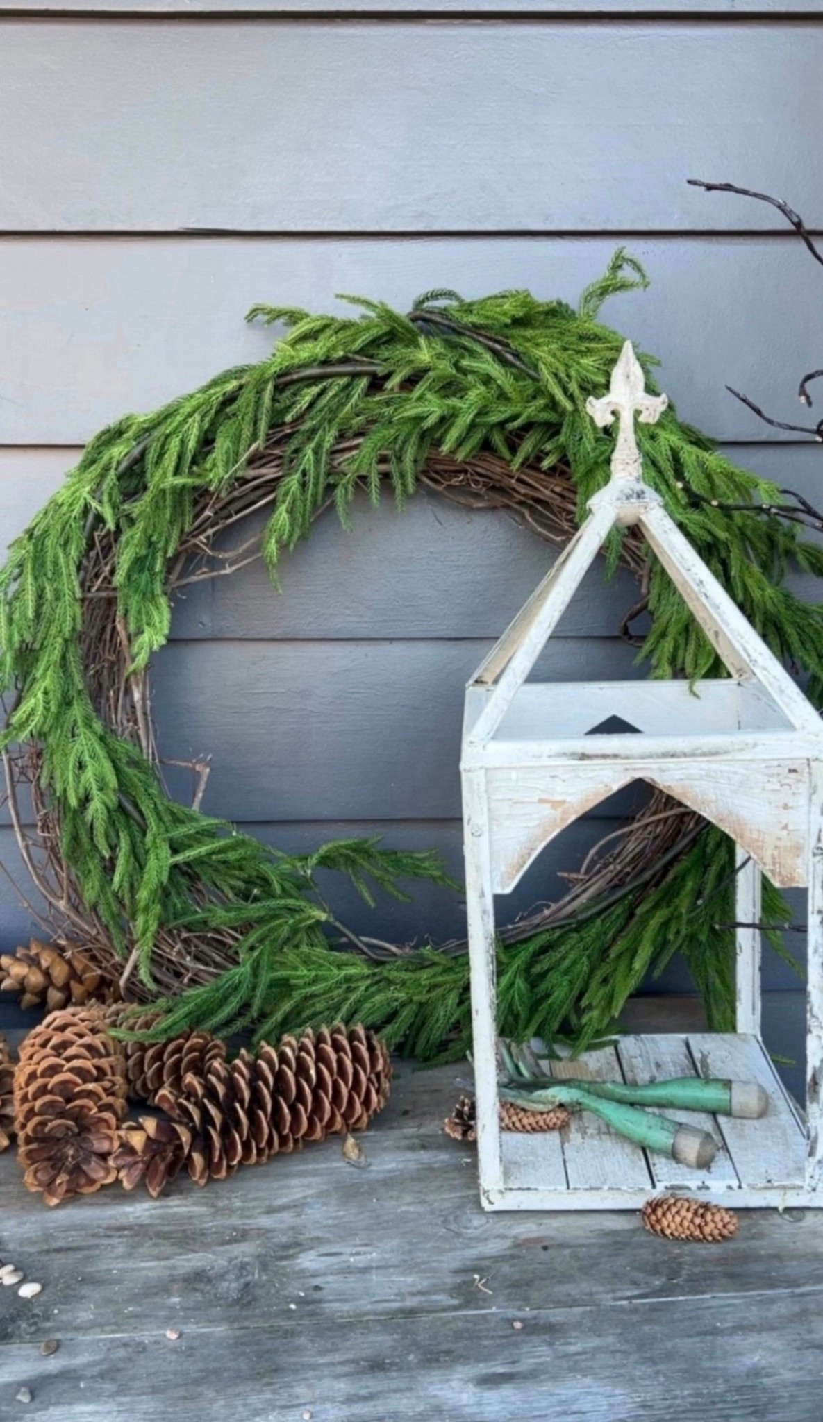 This real touch Norfolk pine garland is such a good find for anyone who loves garden style decor. It has that fresh, just cut look and feels surprisingly realistic. An easy way to bring a little of the outdoors inside this winter. 🌲