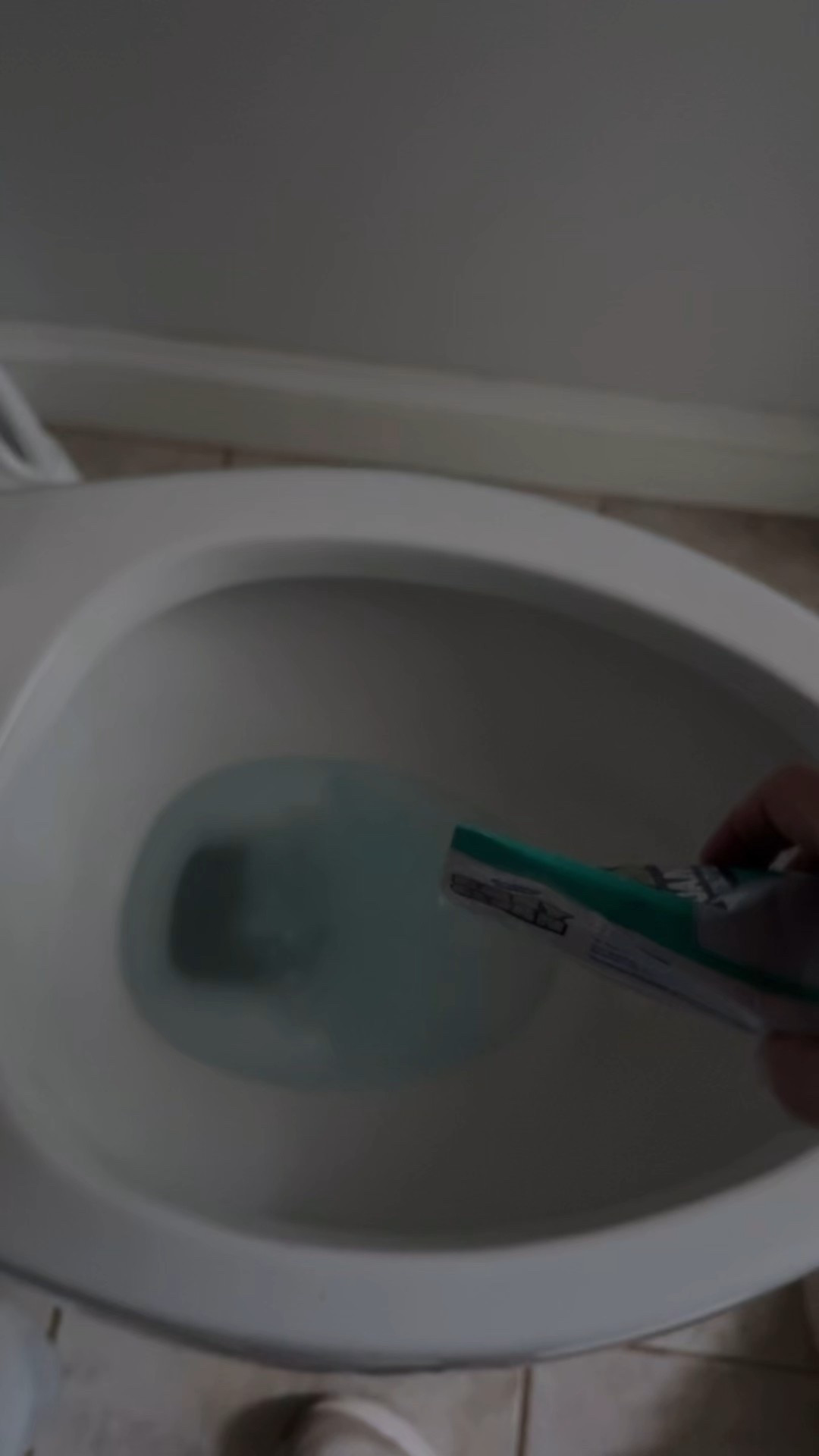 The best toilet bowl cleaner

#LTKmomlife #LTKdayinmylife #LTKHome