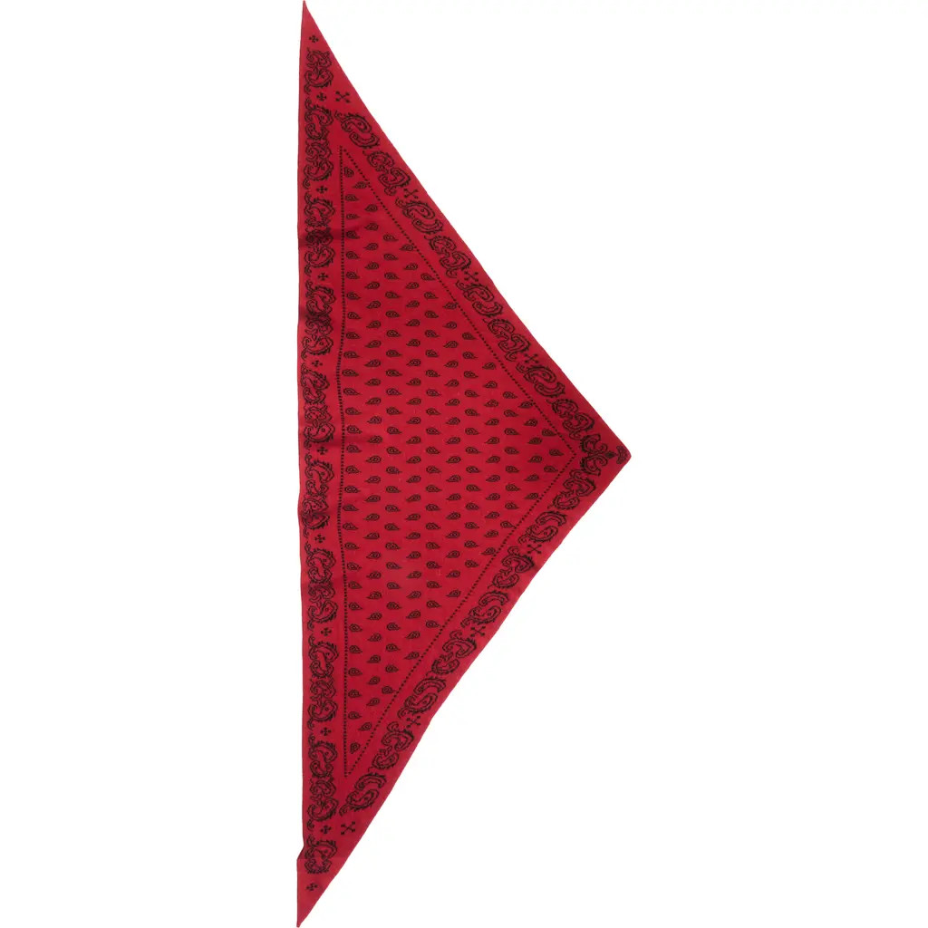GUEST IN RESIDENCE The Wild Rag Cashmere Scarf in Carmine/black at Nordstrom | Nordstrom
