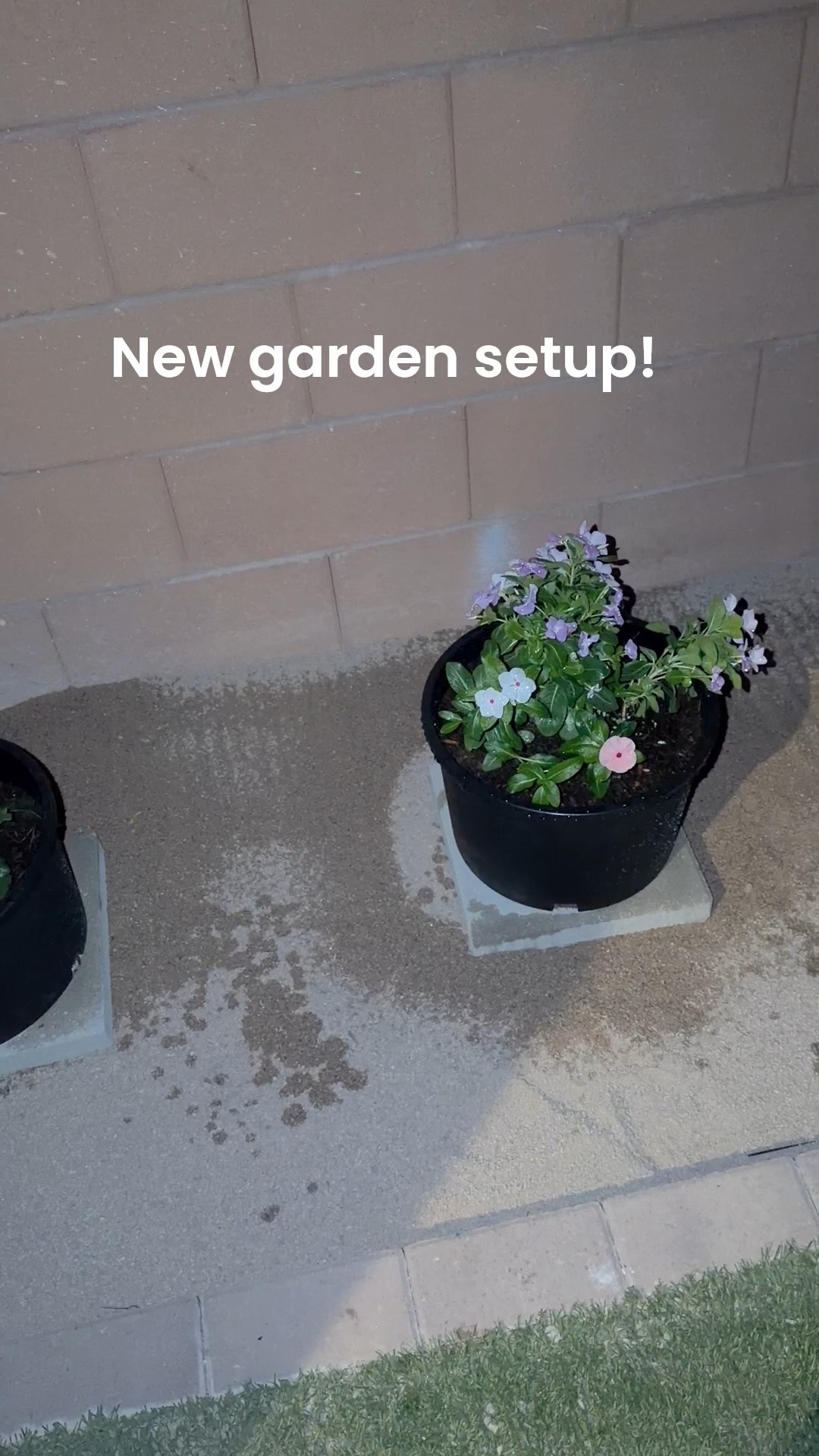 Lowe’s and Amazon have summer sales on planting and garden items. We revamped our outer edge backyard that never made into a raised garden bed.

#LTKSaleAlert #LTKHome #LTKdayinmylife