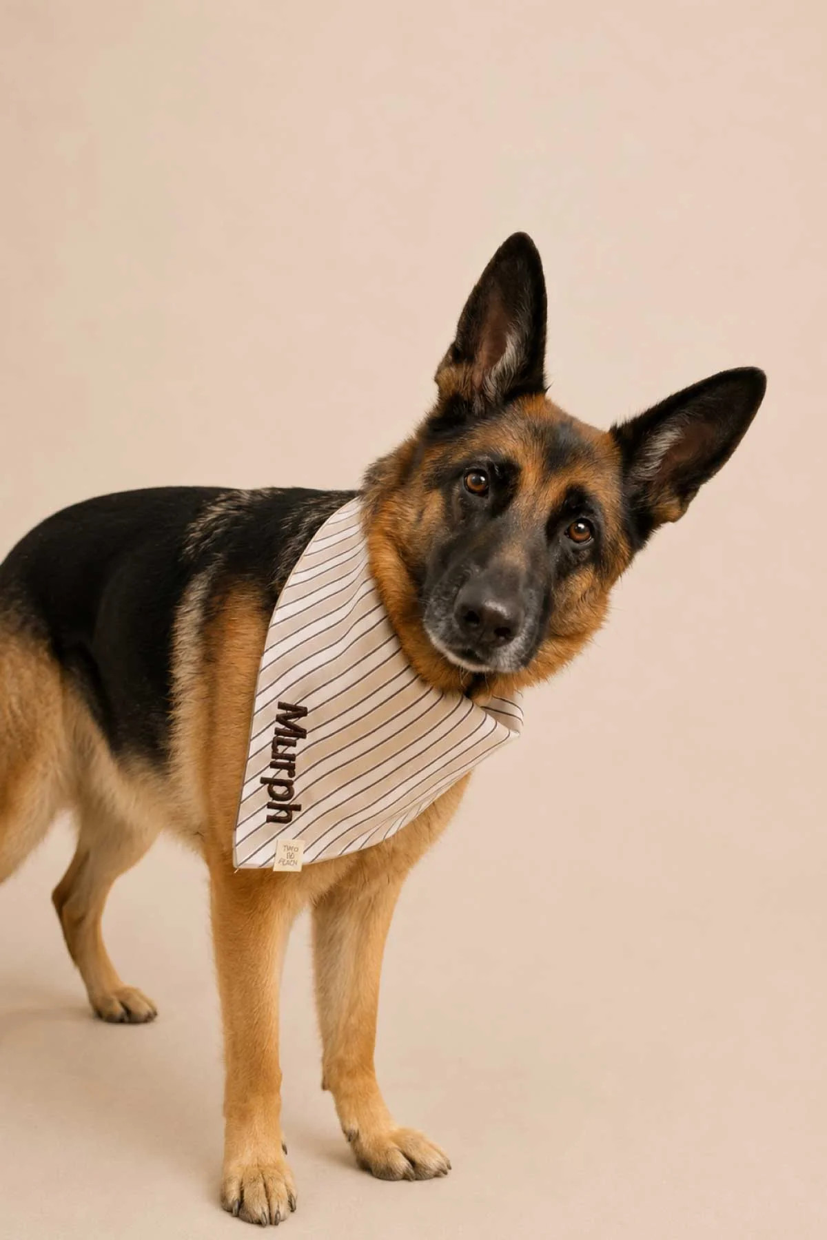 Embroidered Pet Bandana | Biscuit Stripe | Caden Lane
