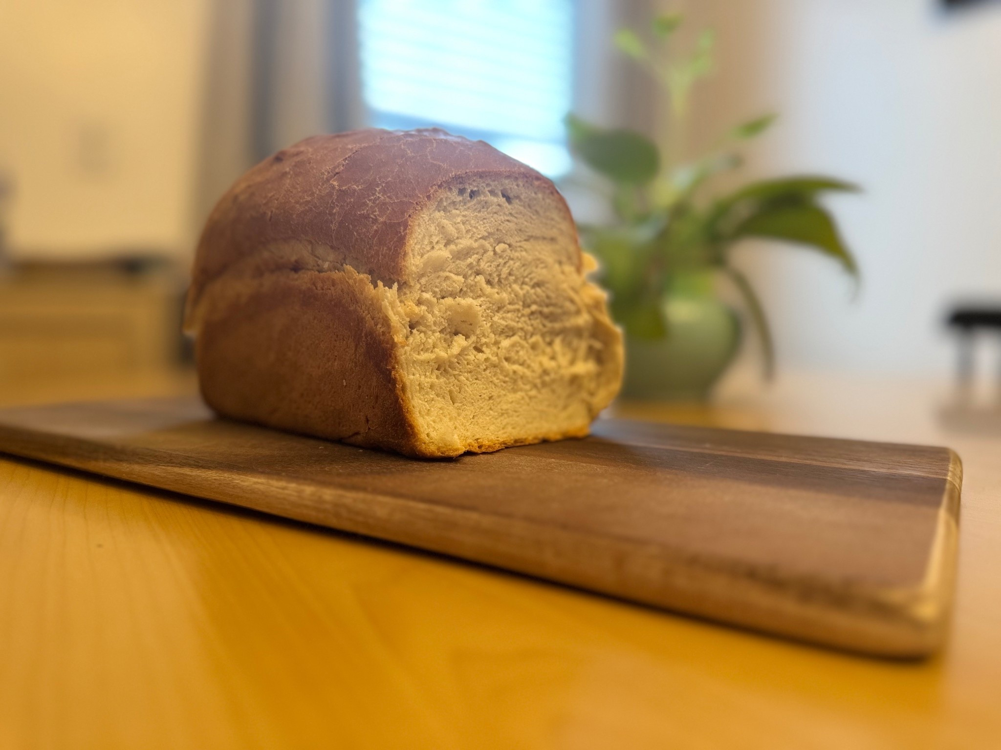My newest hobby and obsession. 

Enjoying sourdough as my new little hobby 🤍
There’s just something about feeding the starter, slowing down, and pulling fresh bread from the oven that feels so grounding. Linking my sourdough must-haves for anyone else in their homemade bread phase 👇🍞 #SourdoughBread
#HomemadeBread
#BakingAtHome
#SlowLiving
#CozyHobbies
#BreadMaking
#KitchenHobby
#FromScratch
#LTKHome
#LTKFinds
#HomemadeGoodness


#LTKmomlife #LTKdayinmylife #LTKGiftGuide