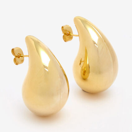 14ct Gold Plated Drop Earrings | TK Maxx