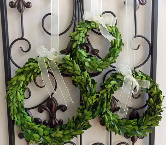 CHOOSE 6" 8" OR 10" Small Mini Preserved Boxwood Christmas Wreath with Sheer Ribbon-Year Round Wr... | Etsy (US)