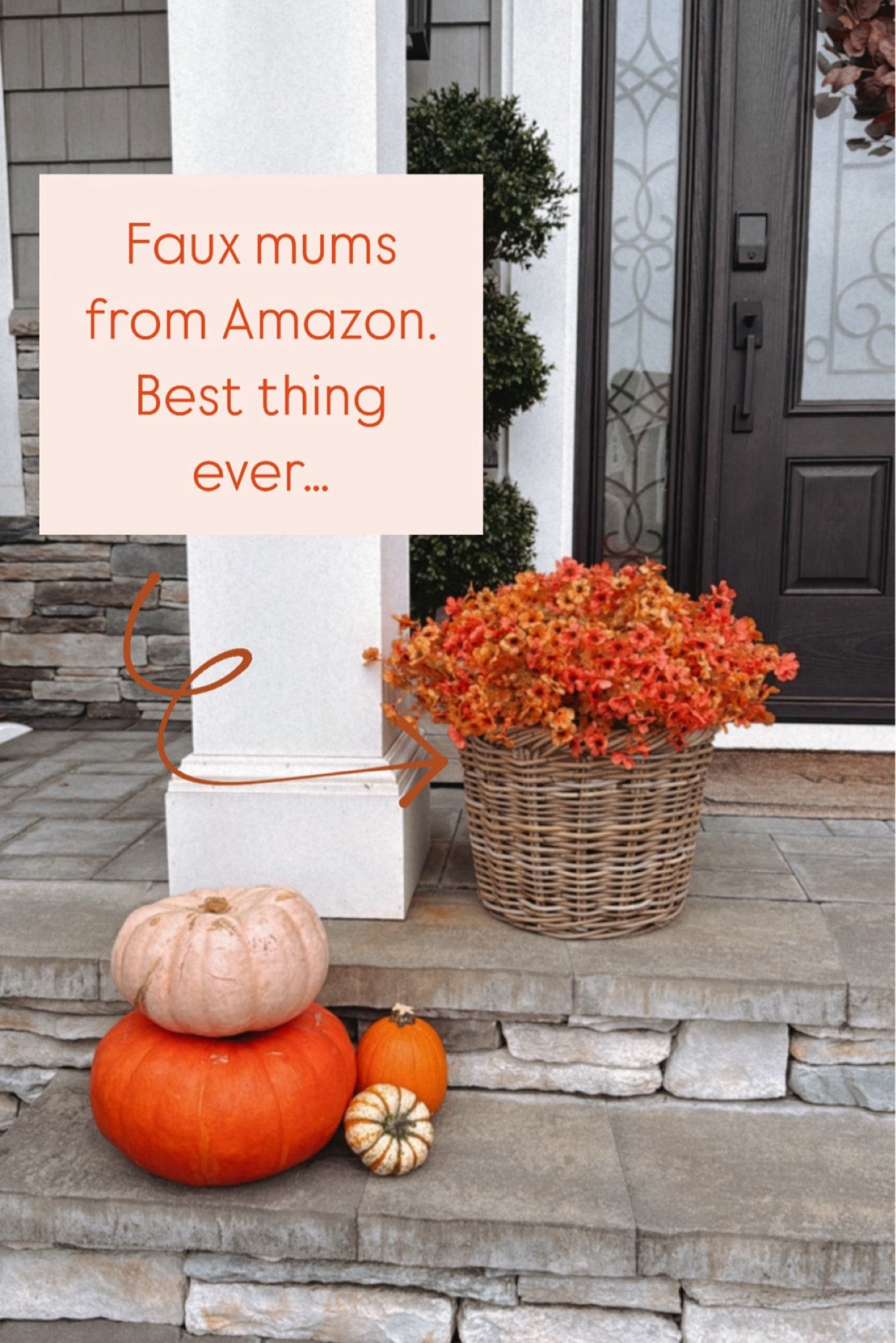 Faux mums from Amazon. Fall porch decor 

#LTKFindsUnder50 #LTKSeasonal #LTKHome