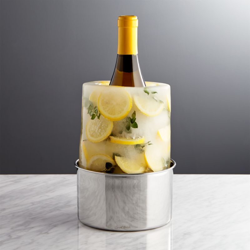 Ice Mold/Wine Bottle Chiller + Reviews | Crate and Barrel | Crate & Barrel