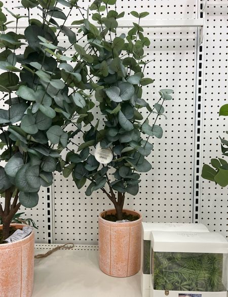 Such a cute little eucalyptus plant 🤩
Holiday decor
Home decor
Target
Walmart
Mcgee & co
Pottery barn
Thislittlelifewebuilt 
Amazon home 

#LTKfindsunder50 #LTKSeasonal #LTKfindsunder100