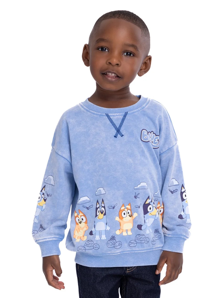 Bluey Toddler Boys Pullover Sweatshirt with Long Sleeves, Sizes 2T-5T | Walmart (US)