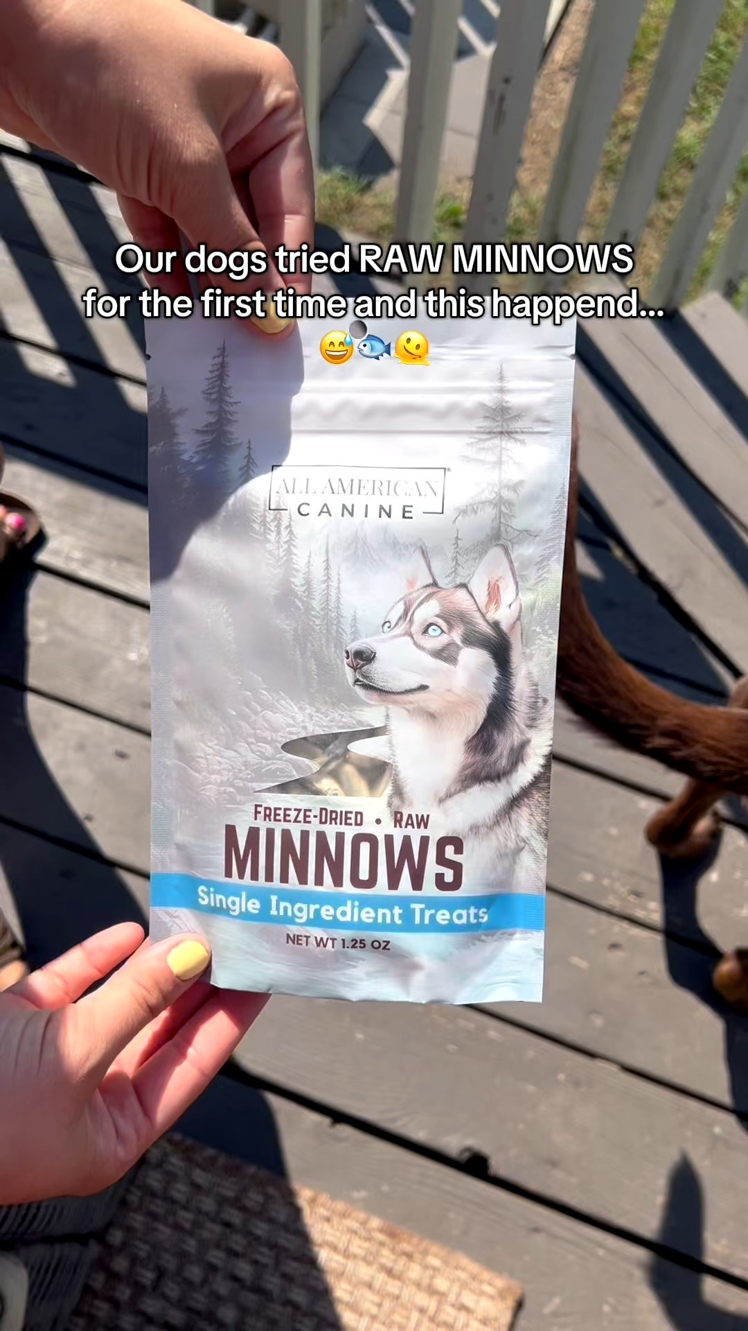 These All American Canine freeze dried raw minnows were a hit with our dogs 🐟🙌🏻 despite me being a tad grossed out holding them 🫠😅

#rawdogtreats #dogtreats #dogproducts

#LTKPets #LTKSaleAlert