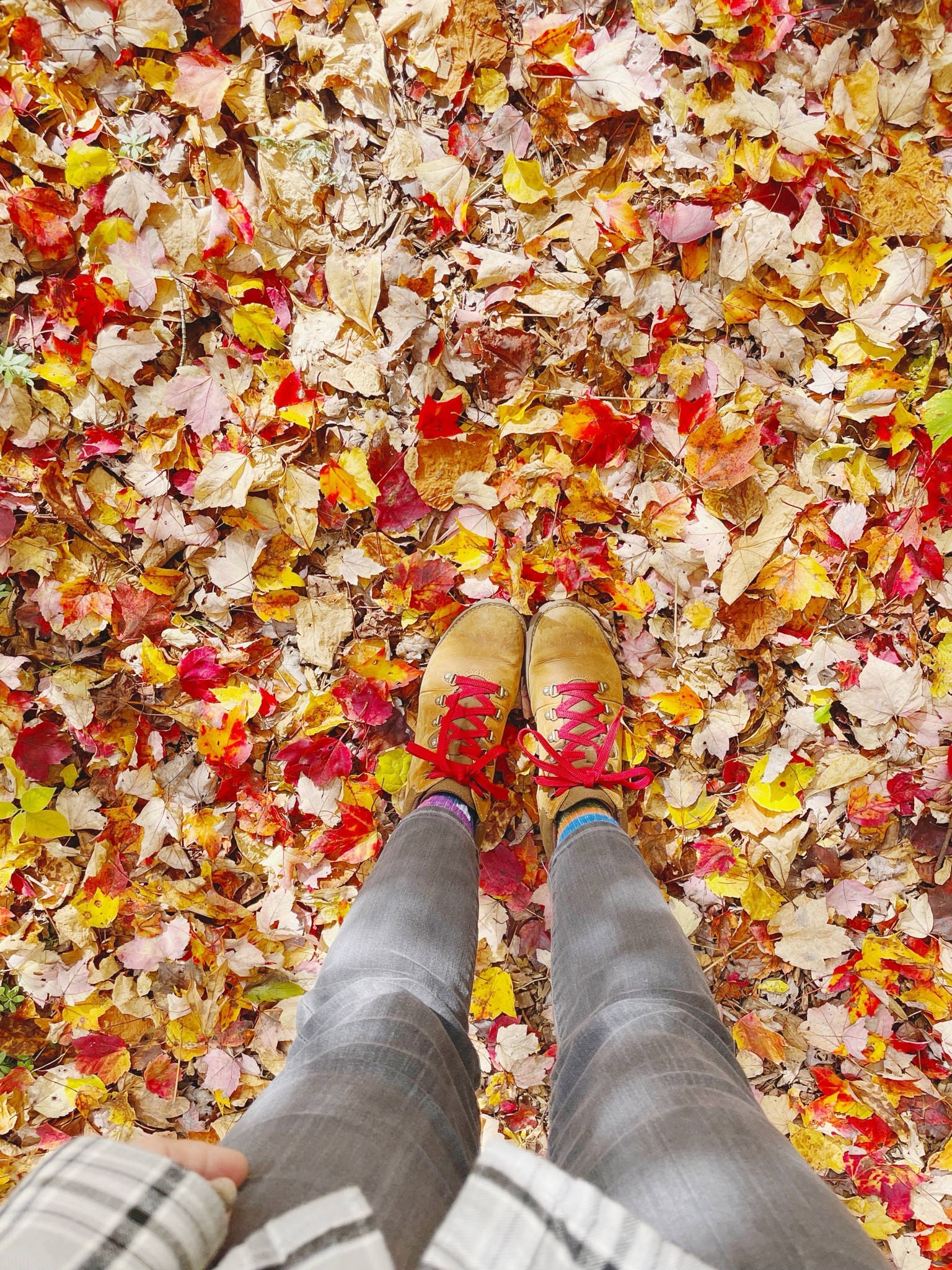 My favorite hiking outfit 

#LTKfitness #LTKover40 #LTKSeasonal