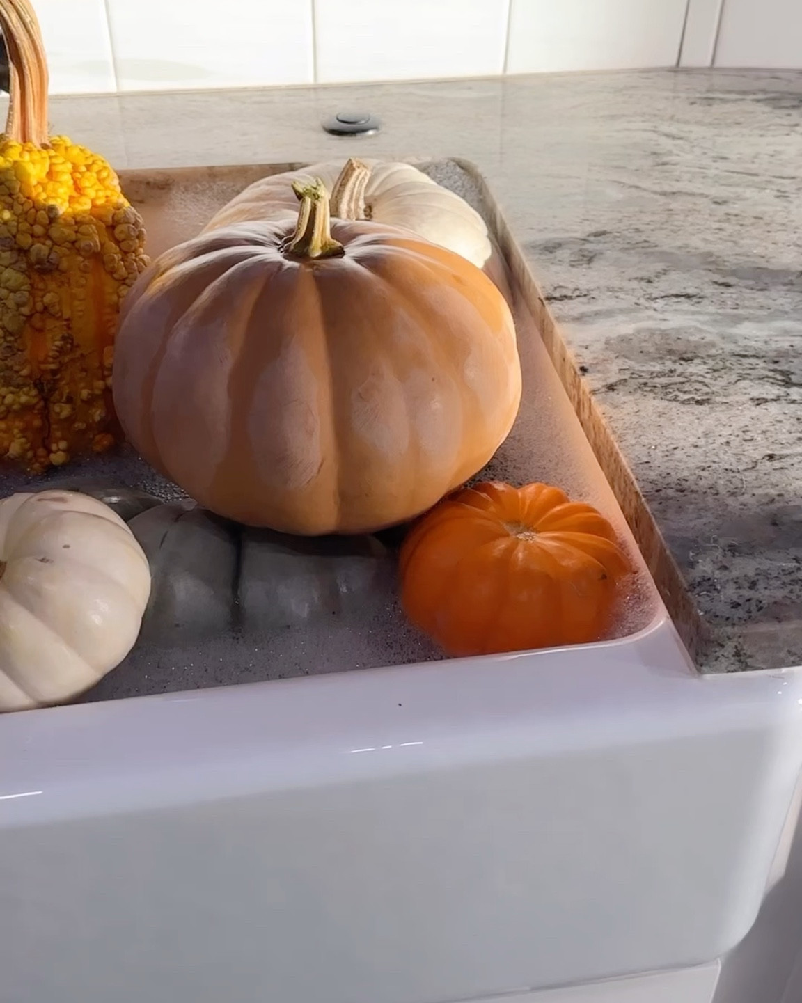 Don't forget to give your pumpkins a little "bath" so they last longer this fall! 🎃 ✨ 

You've got two options:
🫧 Vinegar soak → natural, safe around kids & pets, helps slow down rot.
✨ Bleach soak → stronger and usually keeps pumpkins fresh the longest, but not as eco-friendly.

Either way, a quick soak keeps them porch-ready well past Halloween and into cozy fall decorating season.

Which one would you try-vinegar or bleach? 👀 

#PumpkinHack #PumpkinSeason #FallDecorlnspo #FallVibesOnly #PorchDecor #CozyHomeVibes
#HomeDecorInspo #PumpkinDIY #FallFrontPorch #neutralhomedecor

#LTKHome #LTKHalloween #LTKSeasonal