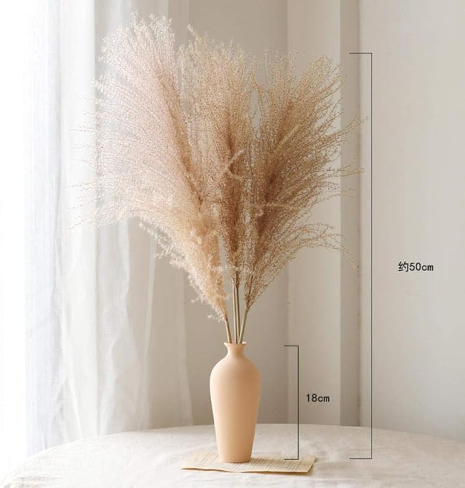 Brand: SDCER | Amazon (US)