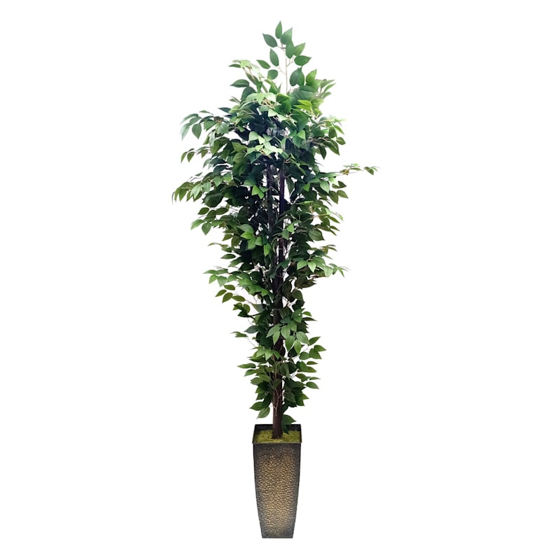 Green Fiscus in Metal Planter, 7' | At Home
