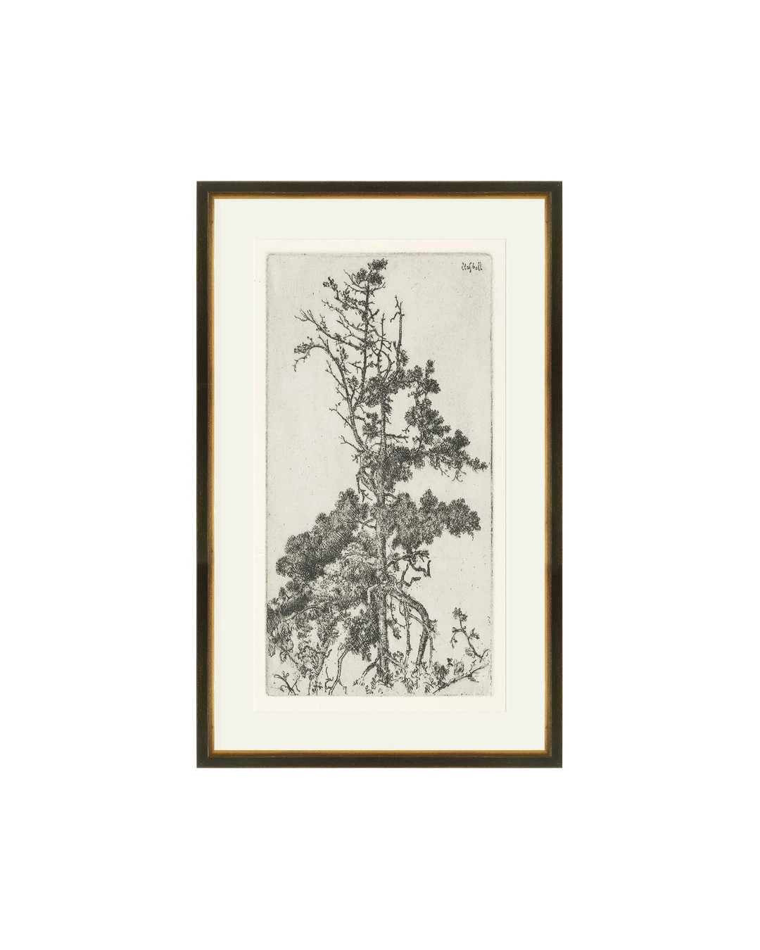 FRAMED. Trees Etching 4. Etching Tree Print. Trees Wall Art. Framed Etching Tree. Tree Wall Art F... | Etsy (AU)