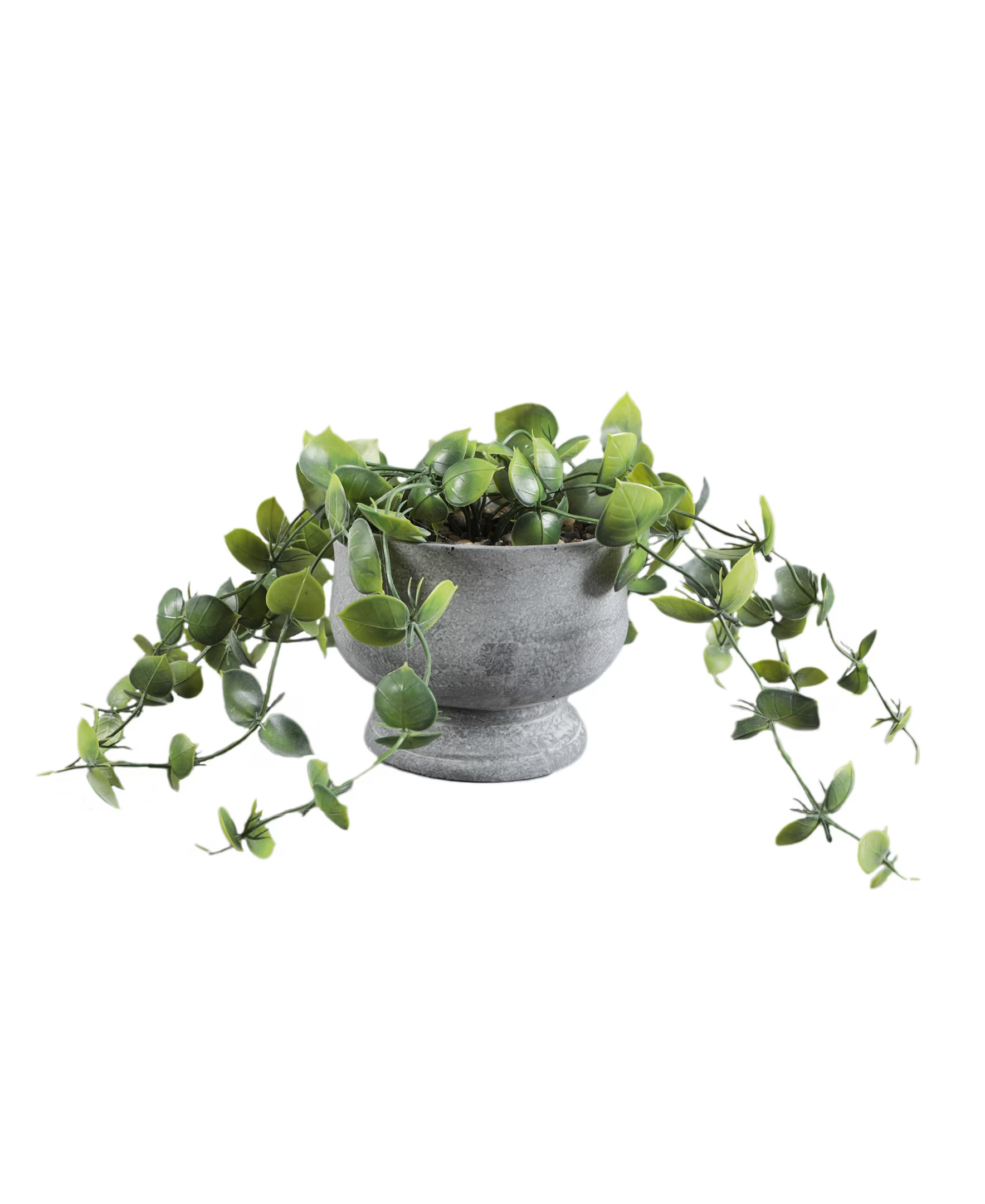 6.25 in H x 9.5 in W x 9.5 in D Mainstays Faux Greenery in Cement Pot (6.125*6.125*4.75) | Walmart (US)