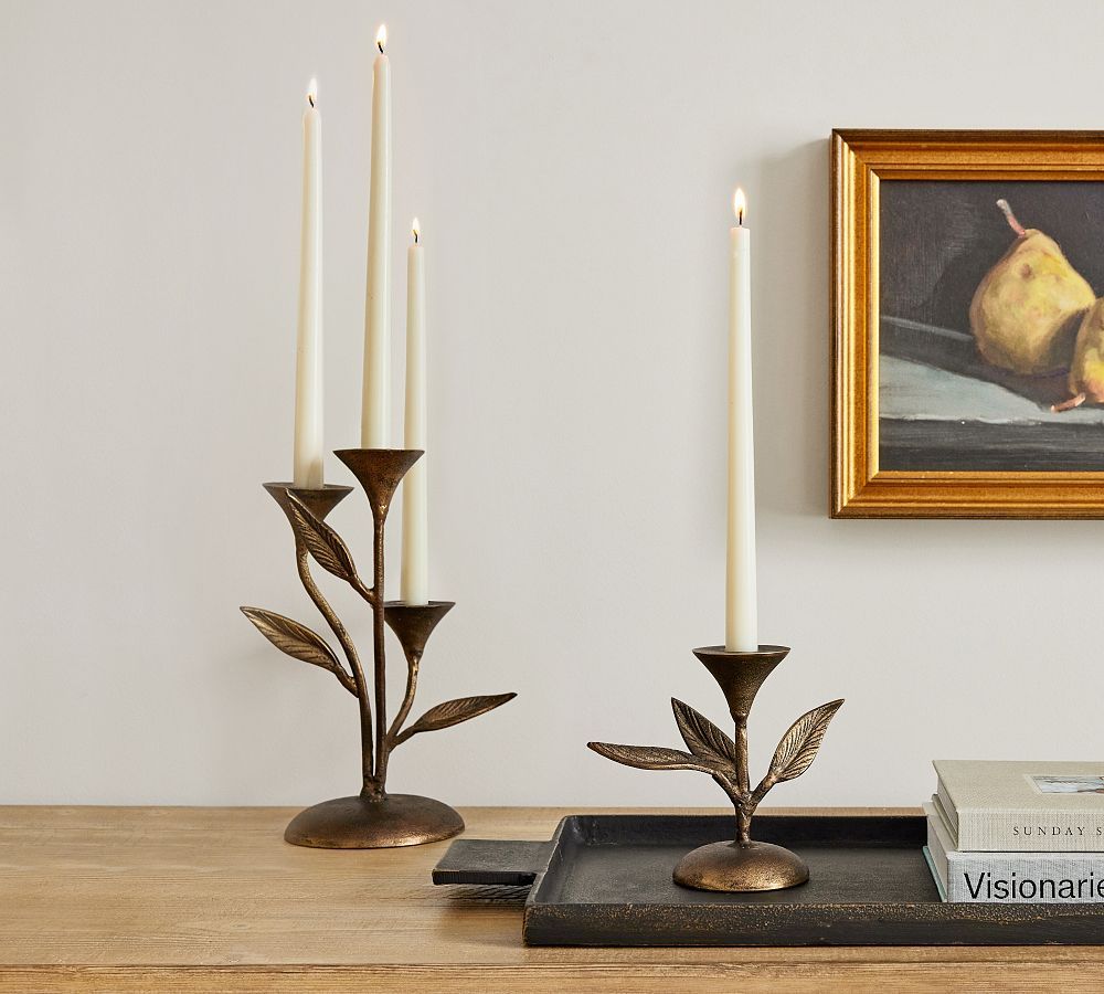 Botanical Taper Candleholders | Pottery Barn (US)