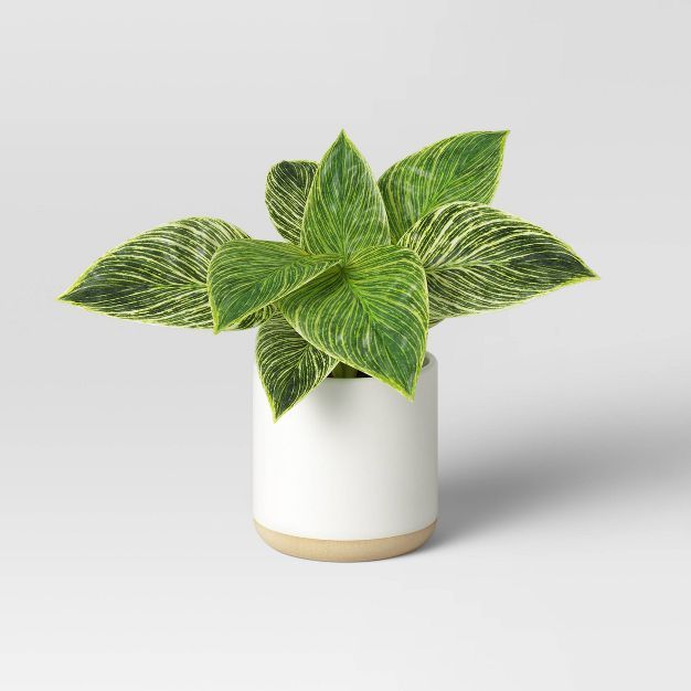 Small Birkin Ceramic Pot - Threshold™ | Target