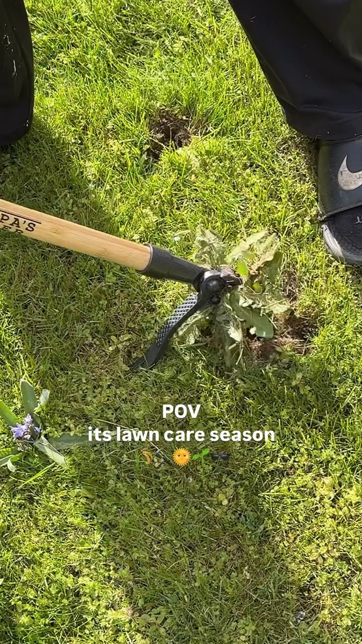 The most useful tool for pulling weeds in the lawn!! 

#LTKU #LTKHome