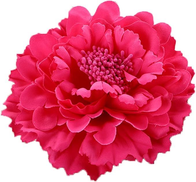 HC-01 Floral Fall Rose Flower Hair Clip Flamenco Dancer Pin up Flower Brooch | Amazon (US)