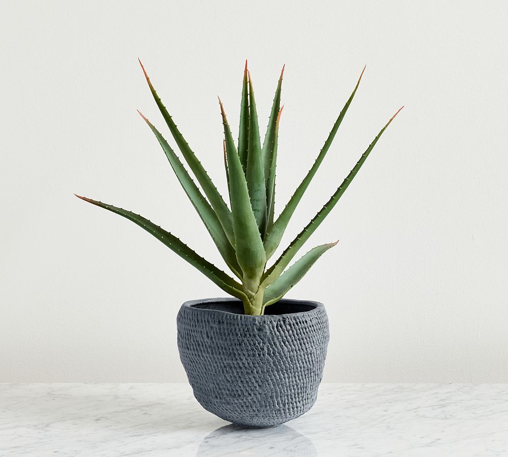 Faux Potted Spike Aloe | Pottery Barn (US)