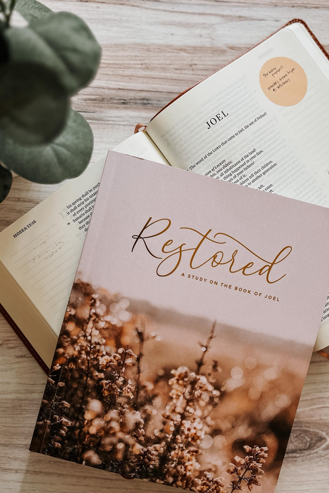 This was my first time using a Bible study from @thedailygraceco. It kept me motivated with something to look forward to each morning.

I appreciated the beauty of this book! So much so that I decided not to write in the pages after day one, but keep my notes in a journal. This way, I can pass it on to my daughter or friend to enjoy. 

I had never done a thorough study on the book of Joel, and I’m so glad I found this guide to help me understand more. 

#thedailygraceco #biblestudy #bibletime #homeschoolmom #motherhoodrising #homeschoolmornings #schole #bookofjoel