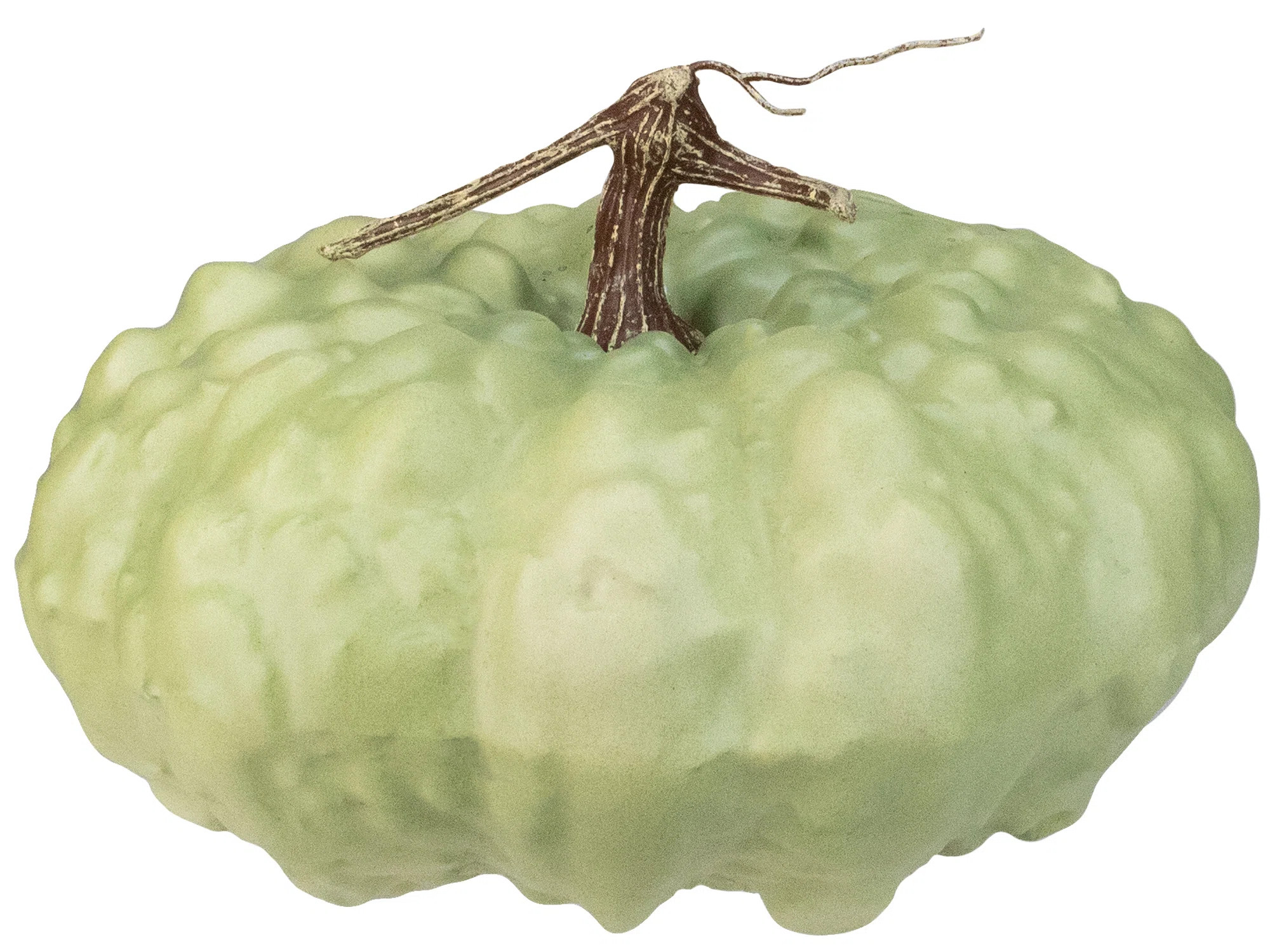 Northlight 10.5" Textured Light Green Pumpkin Autumn Table Decoration | Wayfair | Wayfair North America
