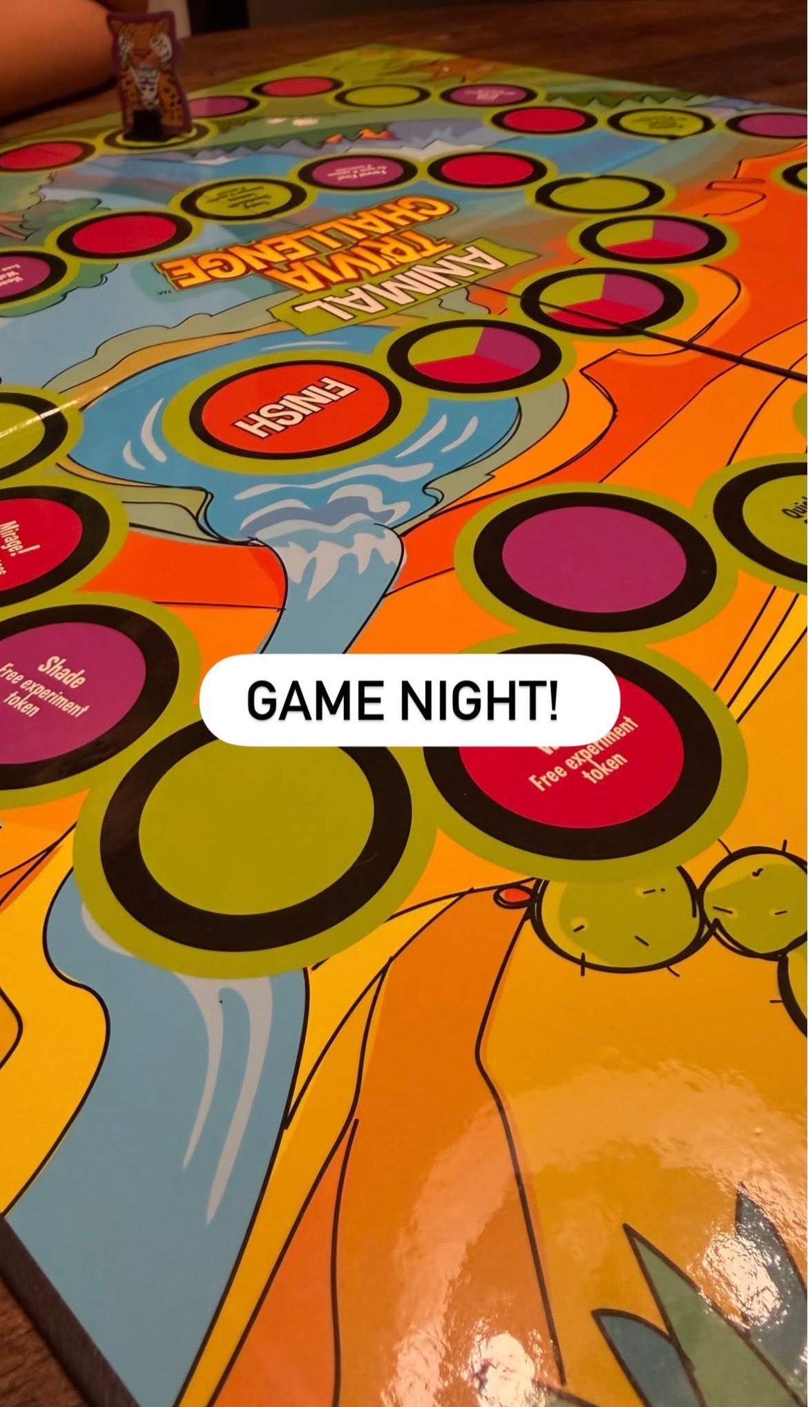 Game night! Playing Animal Trivia Challenge and linking some of our other favorite games! All great family gifts 🎁 

 #LTKHoliday #LTKGiftGuide #LTKKids