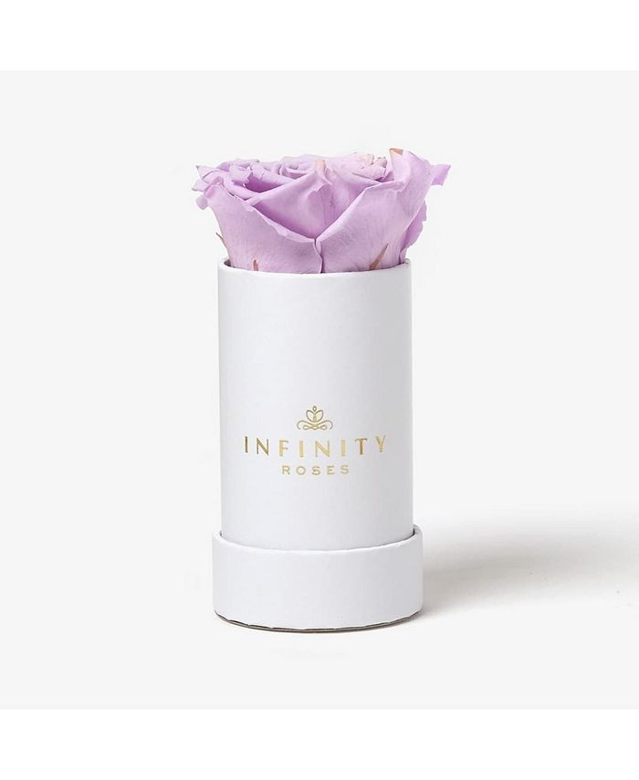 Infinity Roses Single Lavender Real Rose Preserved To Last Over A Year & Reviews - All Live Plant... | Macys (US)
