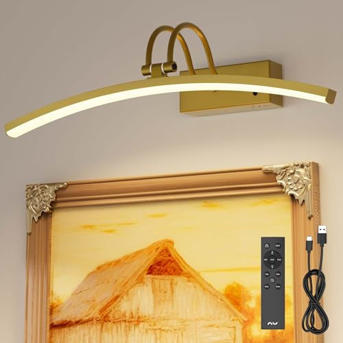 PAIHOME Picture Light for Wall Battery Operated, Rechargeable Magnetic Picture light with Smart Motion Sensor, Remote Dimmable & Timer, ‌16in Gold Wireless Art Lighting for Paintings Gallery Portraits | Amazon (US)