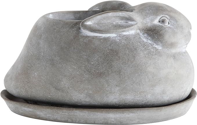 Creative Co-Op Cement Rabbit Planter with Saucer (Set of 2 Pieces) | Amazon (US)