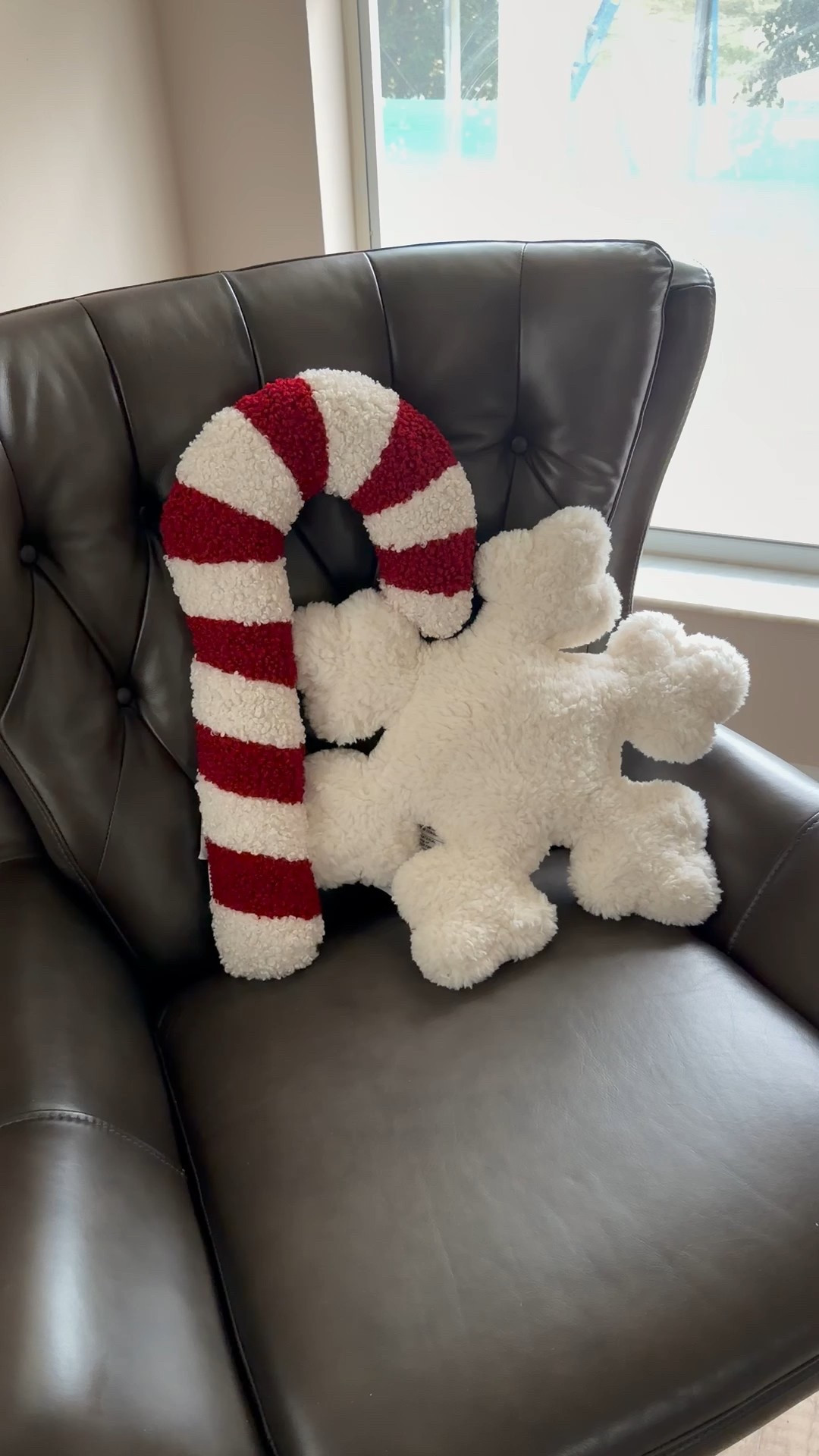 Lowest prices I’ve ever seen on these #holidaypillows from #PotteryBarn! Sale ends tonight. Over 50% off!

#candycanepillow #snowflakepillow #holidaydecor #christmasdecor #christmas #holiday #cyber #givingtuesday #sale 

#LTKFindsUnder50 #LTKHoliday #LTKSaleAlert