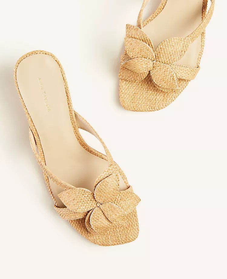 Evangeline Straw Flower Sandals | Ann Taylor | Ann Taylor (US)