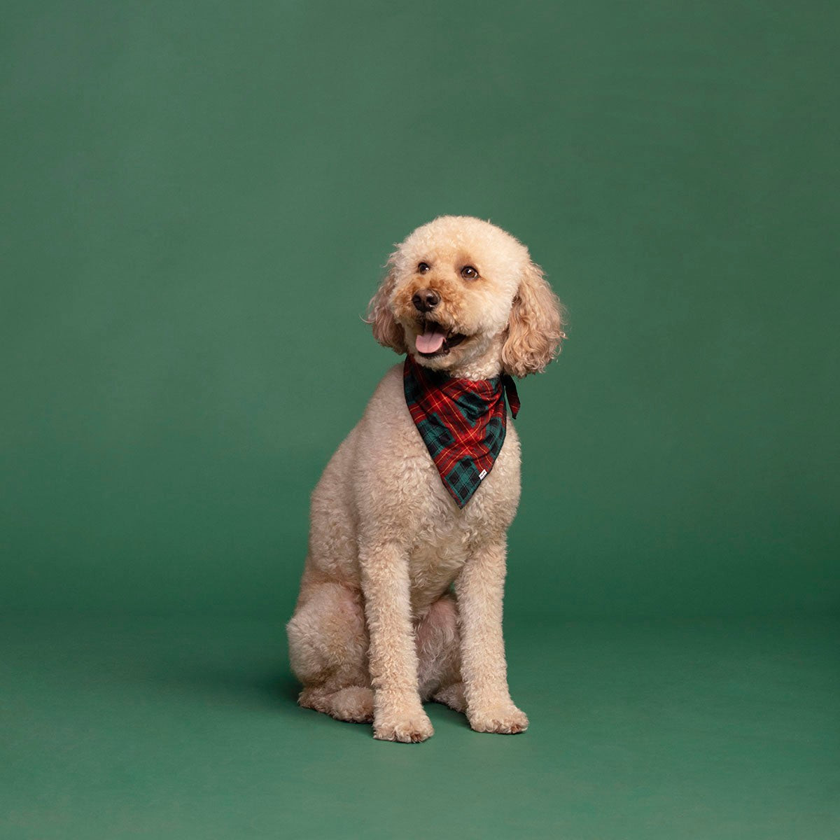 Tartan Bamboo Viscose Pet Bandana | Little Sleepies