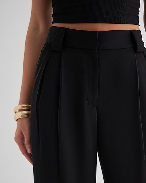 Stylist High Waisted Pleated Wide Leg Pant | Express (Pmt Risk)