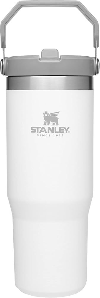 STANLEY IceFlow Stainless Steel Tumbler with Straw, Vacuum Insulated Water Bottle for Home, Offic... | Amazon (US)